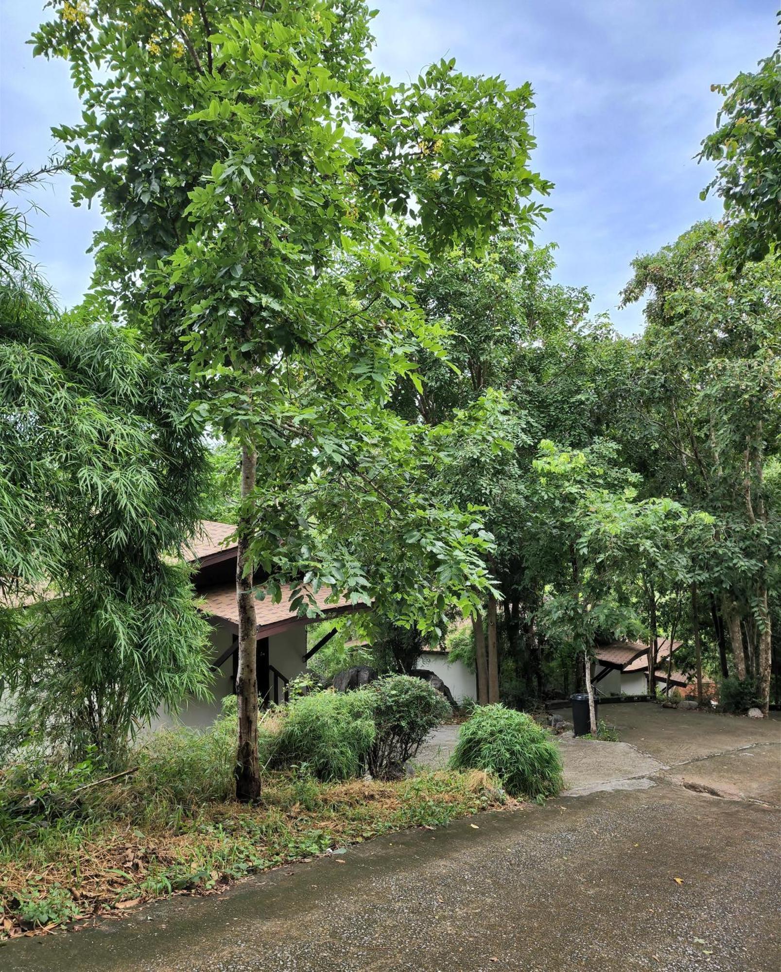 Hua Hin Home Hill Εξωτερικό φωτογραφία